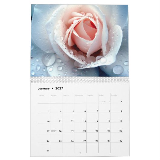 デイヴィッドマーティンD.D.S. Calendar カレンダー (1月 2027)