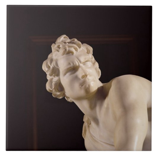 デイヴィッド1623-24年(大理石) (詳細) タイル (正面)