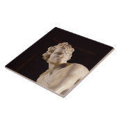 デイヴィッド1623-24年(大理石) (詳細) タイル (側面)