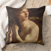 デイヴィッド クッション (ブランケット)