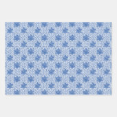 デイヴィッド・ハヌカーのスター ラッピングペーパーシート (正面)