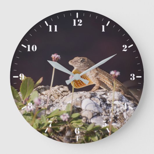 デウラップを表示する茶色のアノール ラージ壁時計 (正面)