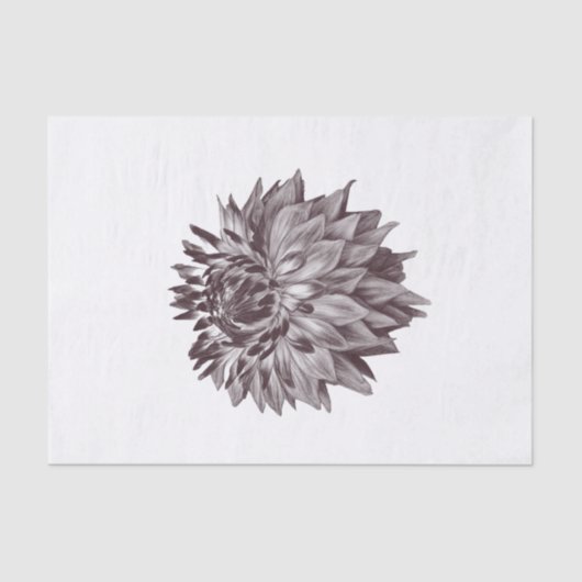 デカップアートギフト用の大きな花ティッシュペーパー 薄葉紙 (正面)