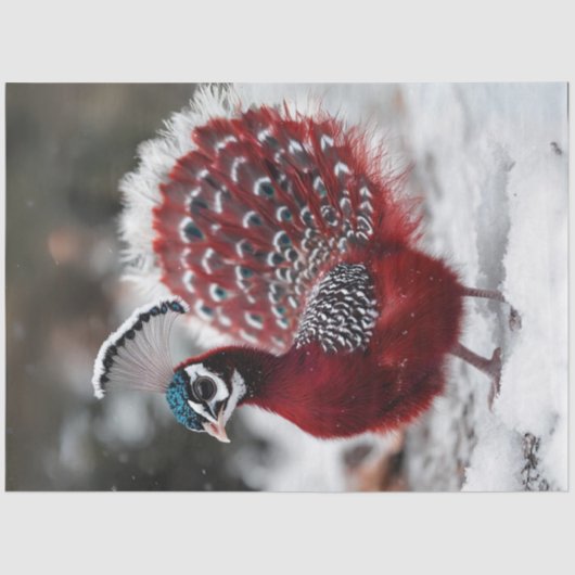 デカップエキゾチック赤いクリスマスバード 薄葉紙 (正面)