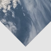 デカップキラーホエールオルカ氷海 薄葉紙 (詳細)