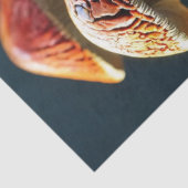 デカップクラスター鮮やかキノコ 薄葉紙 (詳細)