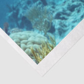 デカップシータートルデジタルアート家具 薄葉紙 (詳細)