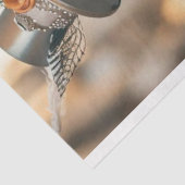 デカップスケルトン結婚したカップル 薄葉紙 (詳細)