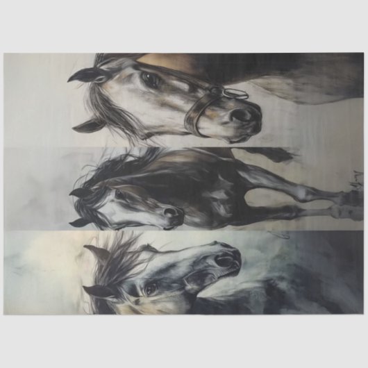 デカップチャコールコラージア素朴ート 薄葉紙 (正面)