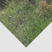 デカップノスタルジックラスティレッドトラックオールドバーン 薄葉紙 (詳細)