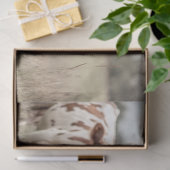 デカップファーザーハンドカウフィールド 薄葉紙 (ギフト)