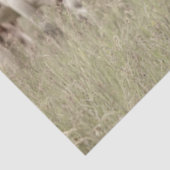 デカップファーザーハンドカウフィールド 薄葉紙 (詳細)