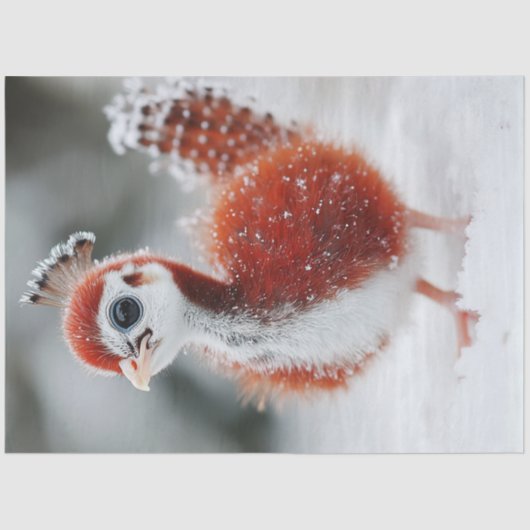 デカップフ鮮やかァッフお洒落クリスマスバード 薄葉紙 (正面)