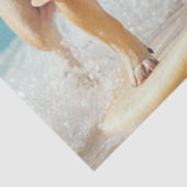 デカップブルドッグサーフィンホットサマー日 薄葉紙 (詳細)