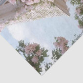 デカップホワイトコテージピンク登山バラ 薄葉紙 (詳細)