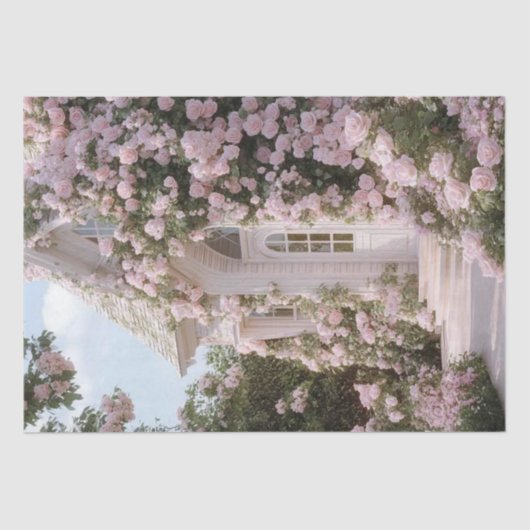 デカップホワイトコテージピンク登山バラ 薄葉紙 (正面)