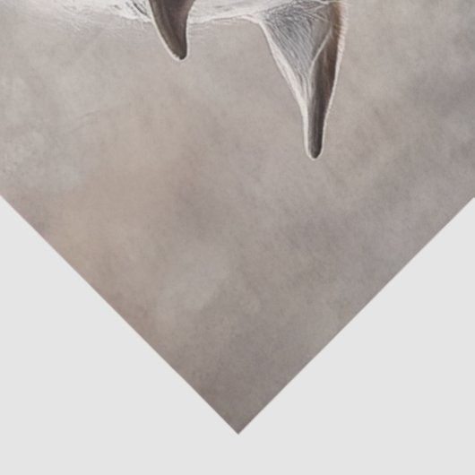 デカップリトルボーイ威厳のあるホース 薄葉紙 (詳細)