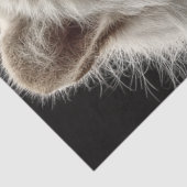 デカップレガルホワイトタイガーポートレートファンタジーノーベル 薄葉紙 (詳細)