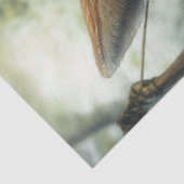 デカップレッドキツネを森のロビンフードとして 薄葉紙 (詳細)