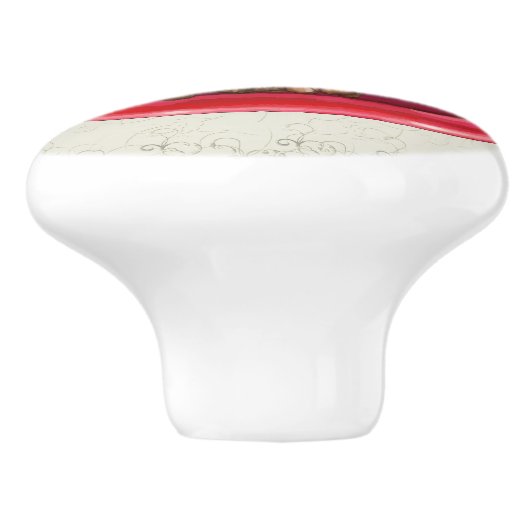 デカデントアイスクリームサンデブラウニードロワーを引っ張る セラミックノブ (側面)