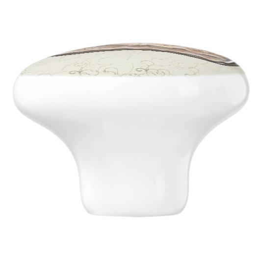 デカデントネポリタンのアイスクリームサンデドローププル セラミックノブ (側面)