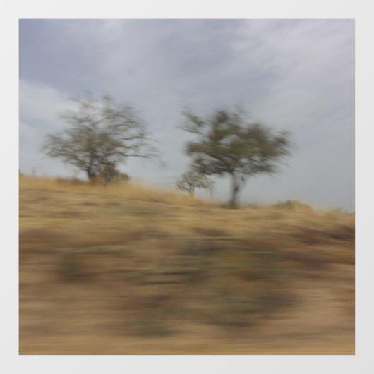 デカール壁デザインスタイル ウィンドウサイン (シート)