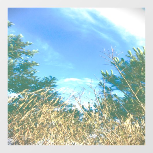 デカール窓貼り ウィンドウサイン (シート)