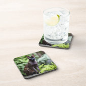 デクスターthe Black Siamese Cat, Coasters コースター (右側)