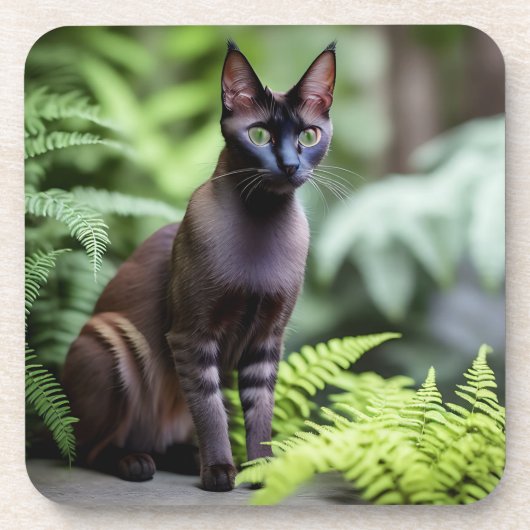 デクスターthe Black Siamese Cat, Coasters コースター (正面)