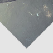 デクッペお洒落ージ生物ドラゴンダンデオン 薄葉紙 (詳細)