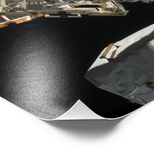 デクトル フォトプリント            (角)