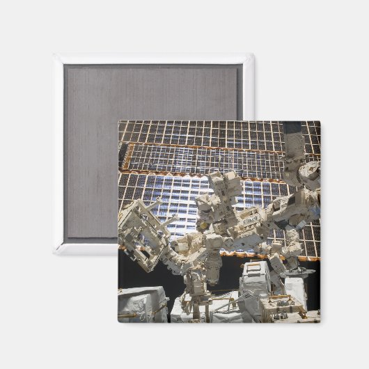 デクトル マグネット (正面/裏面)