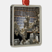 デクトル メタルオーナメント (右)