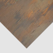 デクパージュ孔雀の羽と松かさの静物画 薄葉紙 (詳細)
