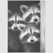 デクパージュ用3アライグマの納屋のドアからのぞき 薄葉紙 (正面)