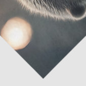 デクペスタイリッシュグ・ギタ遊ーのオッター 薄葉紙 (詳細)