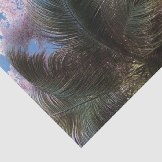 デクページファンタジービーチターコイズウォーターズバブル 薄葉紙 (詳細)