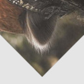 デクページ擬人化ラクーンロビンフード 薄葉紙 (詳細)