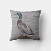 デコキシセンエンテ クッション (裏面)