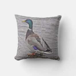 デコキシセンエンテ クッション