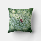 デコキシセングリュースワイルドブリュテン クッション (裏面)