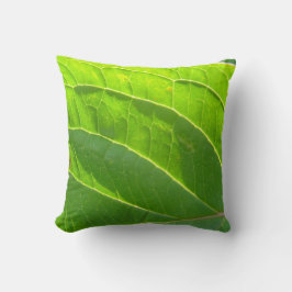 デコキシセンヘルグルヌブラット クッション