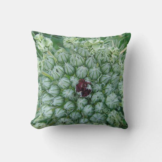 デコギッセンヴァイスグリューネワイルドブリュッテンmit roter Mitte クッション (正面)
