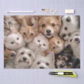 デコッお洒落プ猫と犬の心温まるシーン 薄葉紙 (クラフト)