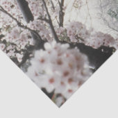 デコップウォーターフォールドピンクツリートランクルプール 薄葉紙 (詳細)