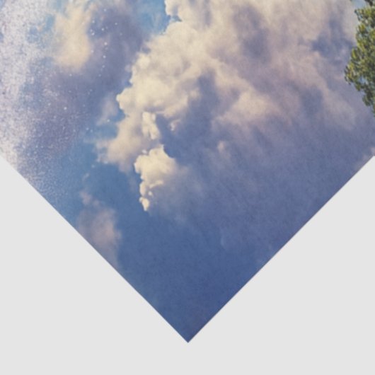 デコップウォーター遊トラック子供の通り 薄葉紙 (詳細)