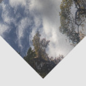 デコップエンジェル秋ウォーターフォールベネズエラ 薄葉紙 (詳細)