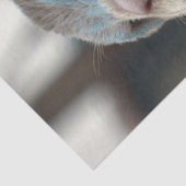 デコップオッターウォリアーのブルースーツ 薄葉紙 (詳細)