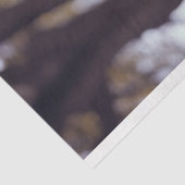 デコップオーストラリアの羊飼いバディ 薄葉紙 (詳細)