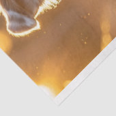 デコップオーストラリア走シェパード 薄葉紙 (詳細)